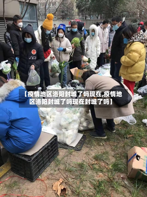 【疫情地区洛阳封城了吗现在,疫情地区洛阳封城了吗现在封城了吗】-第3张图片