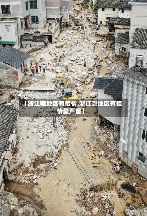 【浙江哪地区有疫情,浙江哪地区有疫情最严重】-第3张图片