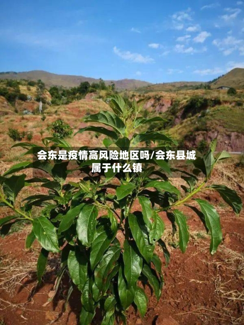 会东是疫情高风险地区吗/会东县城属于什么镇-第1张图片