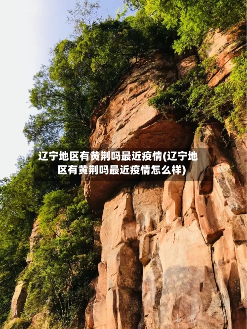 辽宁地区有黄荆吗最近疫情(辽宁地区有黄荆吗最近疫情怎么样)-第1张图片