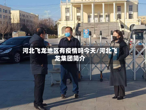 河北飞龙地区有疫情吗今天/河北飞龙集团简介-第1张图片