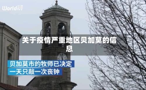 关于疫情严重地区贝加莫的信息-第1张图片