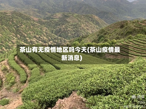 茶山有无疫情地区吗今天(茶山疫情最新消息)-第1张图片