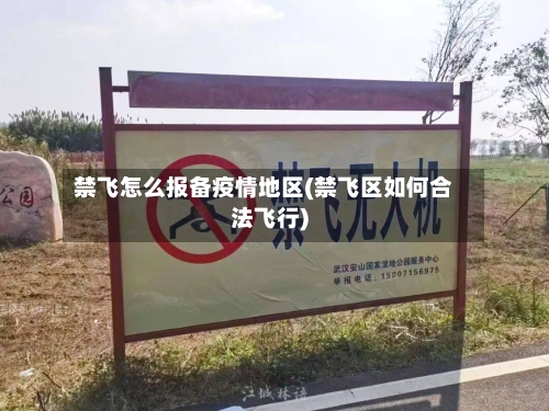 禁飞怎么报备疫情地区(禁飞区如何合法飞行)-第1张图片