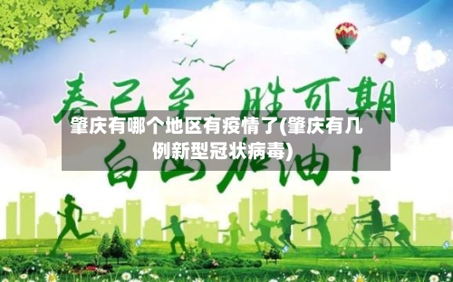 肇庆有哪个地区有疫情了(肇庆有几例新型冠状病毒)-第1张图片