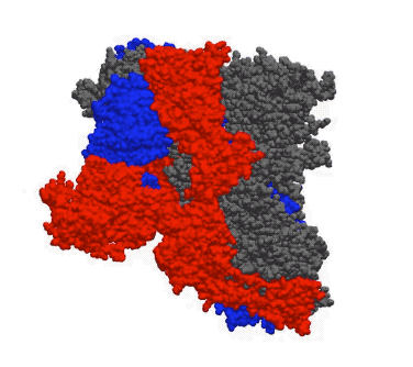 全国疫情地区实时动态图/全国疫情地区实时查询-第1张图片