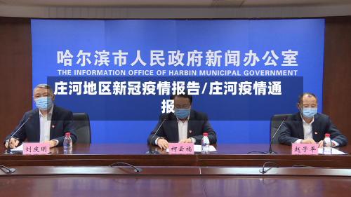 庄河地区新冠疫情报告/庄河疫情通报-第1张图片