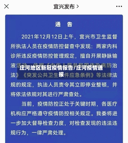 庄河地区新冠疫情报告/庄河疫情通报-第2张图片