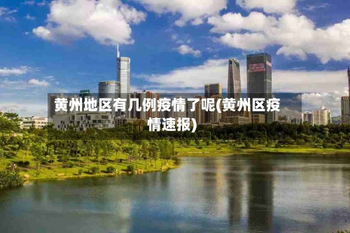 黄州地区有几例疫情了呢(黄州区疫情速报)-第2张图片