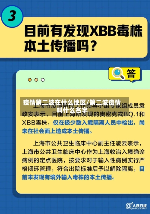 疫情第二波在什么地区/第二波疫情叫什么名字-第3张图片
