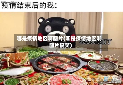 哪是疫情地区啊图片(哪是疫情地区啊图片搞笑)-第2张图片