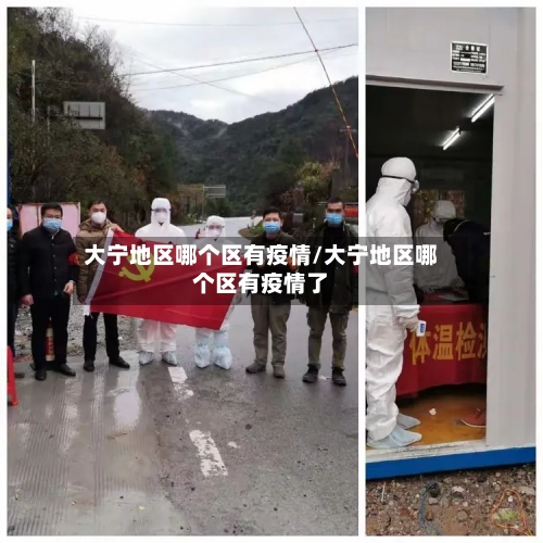 大宁地区哪个区有疫情/大宁地区哪个区有疫情了-第3张图片