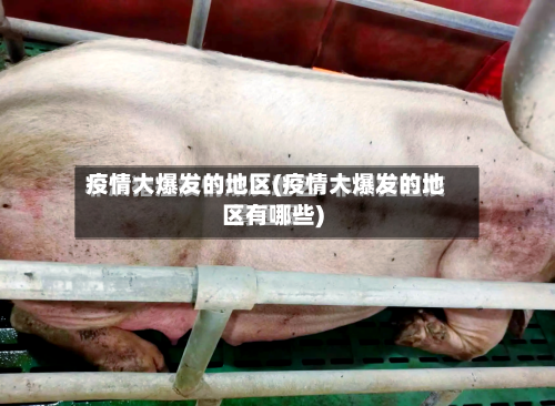 疫情大爆发的地区(疫情大爆发的地区有哪些)-第2张图片