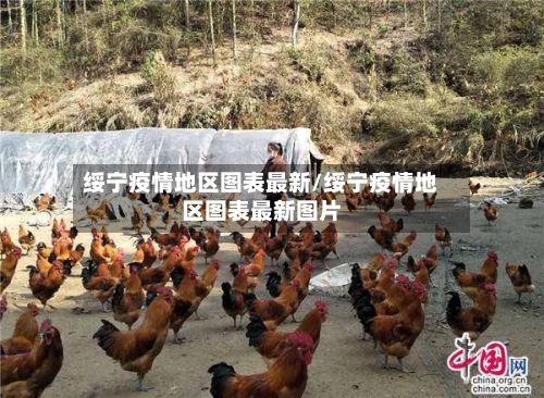 绥宁疫情地区图表最新/绥宁疫情地区图表最新图片-第2张图片