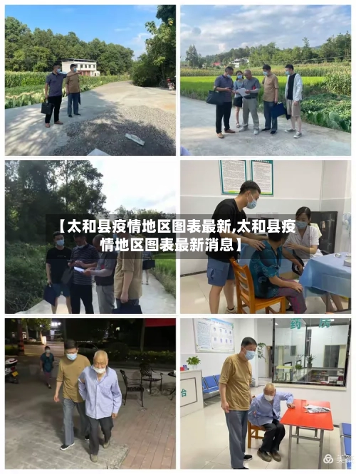 【太和县疫情地区图表最新,太和县疫情地区图表最新消息】-第3张图片