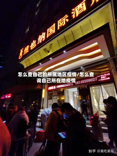 怎么查自己的所属地区疫情/怎么查询自己所在地疫情-第1张图片