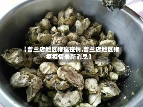 【普兰店地区猪瘟疫情,普兰店地区猪瘟疫情最新消息】-第3张图片