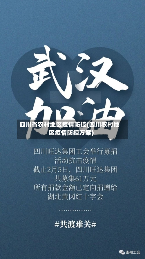 四川省农村地区疫情防控(四川农村地区疫情防控方案)-第2张图片
