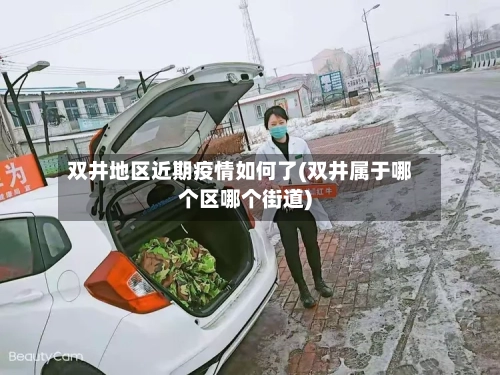 双井地区近期疫情如何了(双井属于哪个区哪个街道)-第3张图片