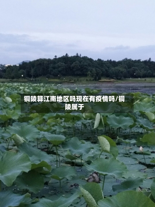 铜陵算江南地区吗现在有疫情吗/铜陵属于-第3张图片