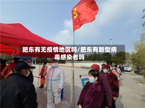 肥东有无疫情地区吗/肥东有新型病毒感染者吗-第1张图片