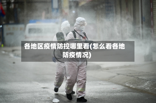 各地区疫情防控哪里看(怎么看各地防疫情况)-第2张图片