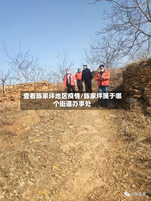 查看陈家坪地区疫情/陈家坪属于哪个街道办事处-第1张图片