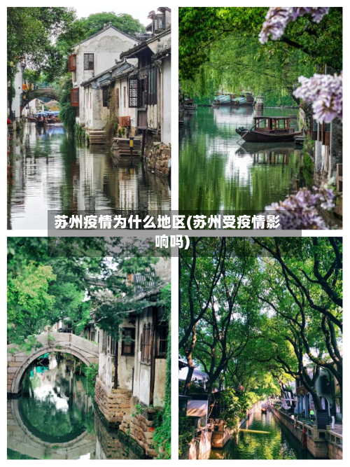 苏州疫情为什么地区(苏州受疫情影响吗)-第2张图片