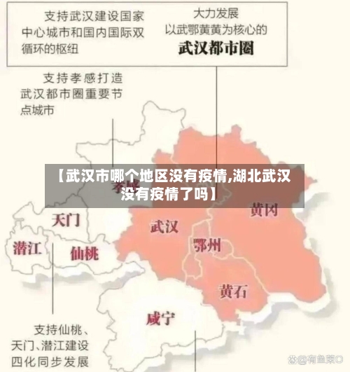 【武汉市哪个地区没有疫情,湖北武汉没有疫情了吗】-第1张图片