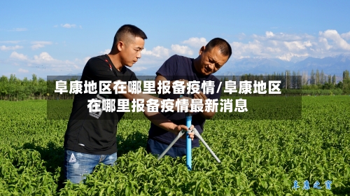 阜康地区在哪里报备疫情/阜康地区在哪里报备疫情最新消息-第1张图片