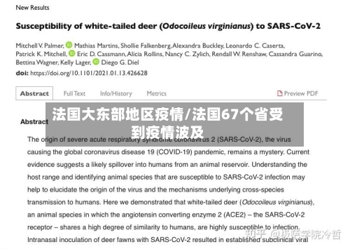 法国大东部地区疫情/法国67个省受到疫情波及-第3张图片