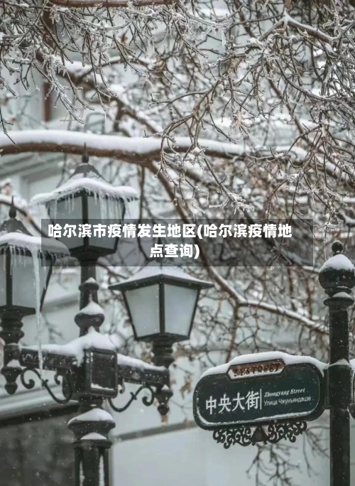 哈尔滨市疫情发生地区(哈尔滨疫情地点查询)-第2张图片