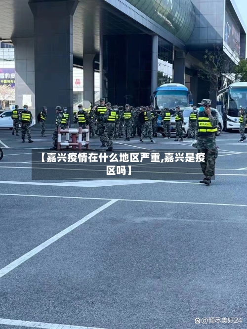 【嘉兴疫情在什么地区严重,嘉兴是疫区吗】-第1张图片