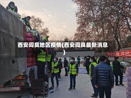 西安阎良地区疫情(西安阎良最新消息)-第2张图片