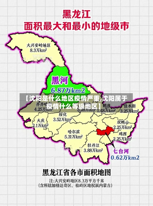 【沈阳是什么地区疫情严重,沈阳属于疫情什么等级地区】-第1张图片