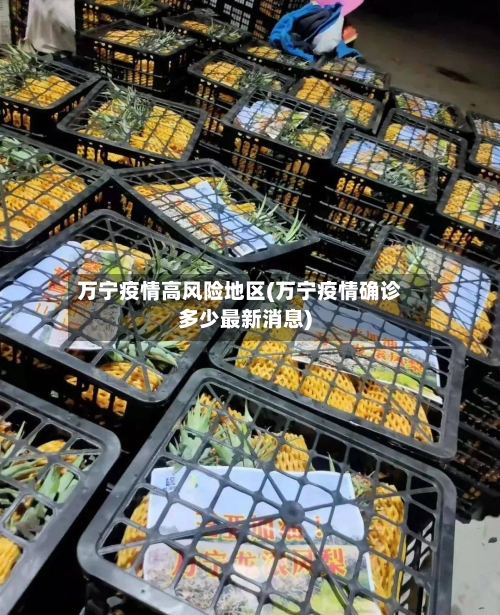 万宁疫情高风险地区(万宁疫情确诊多少最新消息)-第2张图片