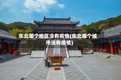 东北哪个地区没有疫情(东北哪个城市没有疫情)-第2张图片