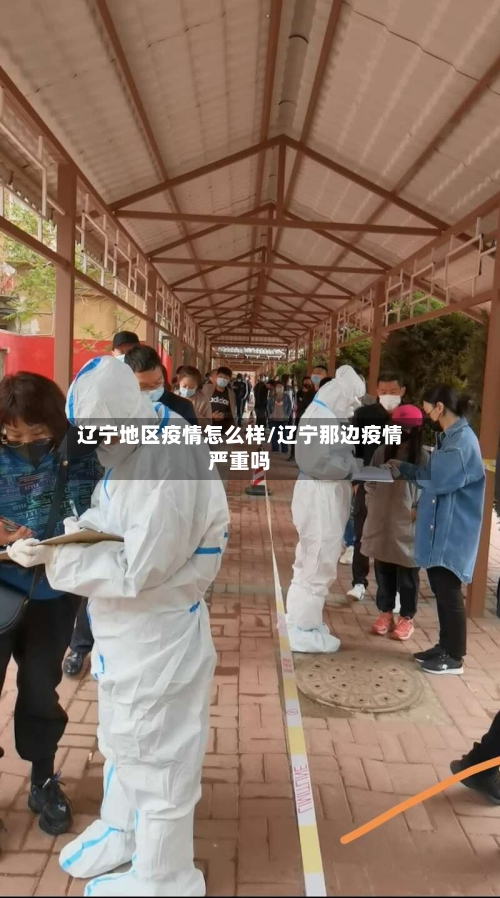 辽宁地区疫情怎么样/辽宁那边疫情严重吗-第2张图片