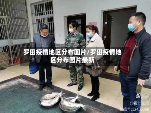 罗田疫情地区分布图片/罗田疫情地区分布图片最新-第2张图片