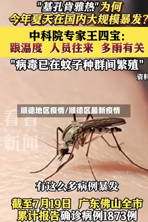顺德地区疫情/顺德区最新疫情-第1张图片