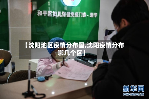 【沈阳地区疫情分布图,沈阳疫情分布哪几个区】-第2张图片