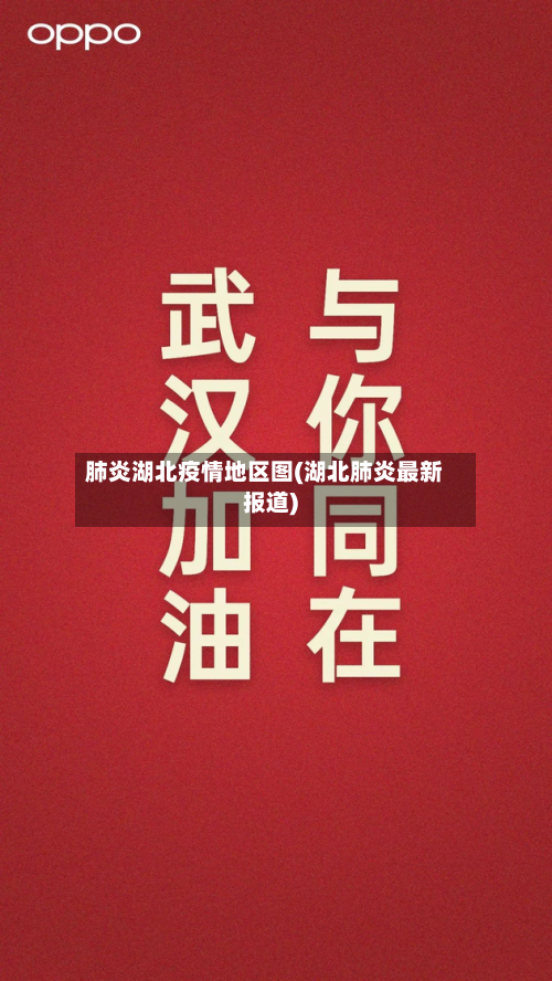 肺炎湖北疫情地区图(湖北肺炎最新报道)-第2张图片