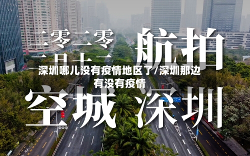 深圳哪儿没有疫情地区了/深圳那边有没有疫情-第2张图片