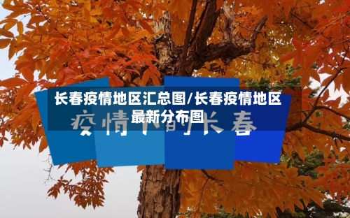 长春疫情地区汇总图/长春疫情地区最新分布图-第2张图片