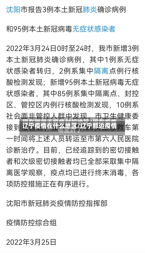辽宁疫情在什么地区/辽宁那边疫情-第3张图片