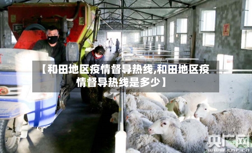 【和田地区疫情督导热线,和田地区疫情督导热线是多少】-第2张图片