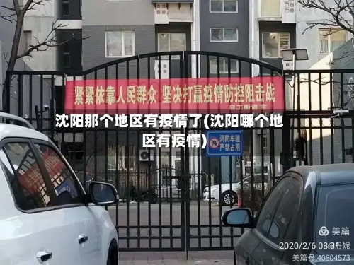 沈阳那个地区有疫情了(沈阳哪个地区有疫情)-第3张图片