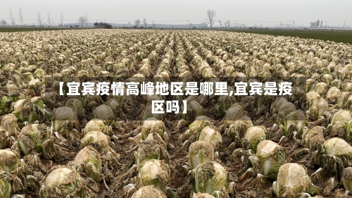 【宜宾疫情高峰地区是哪里,宜宾是疫区吗】-第3张图片