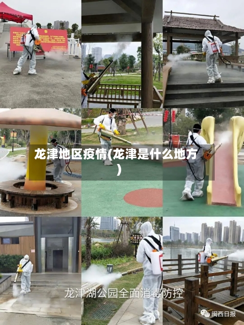 龙津地区疫情(龙津是什么地方)-第3张图片