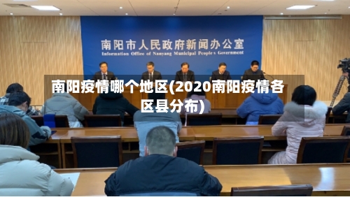 南阳疫情哪个地区(2020南阳疫情各区县分布)-第3张图片